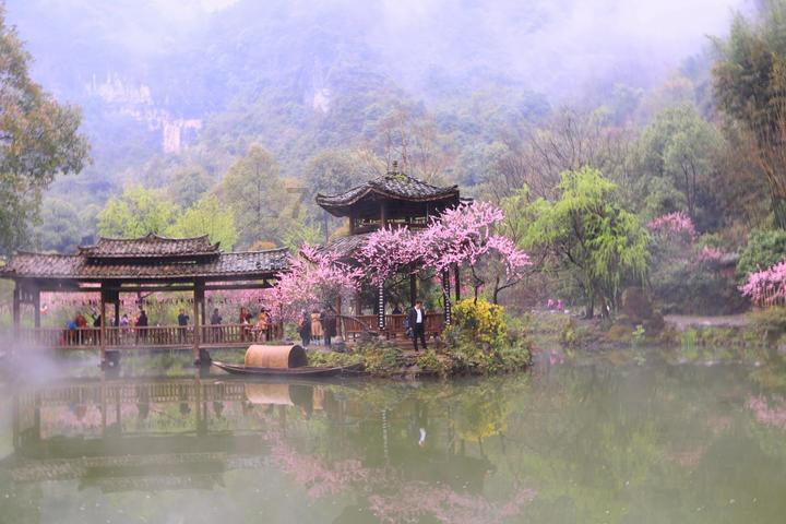 拯救老科学家